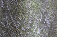 Burton In Kendal fibreglass roof work